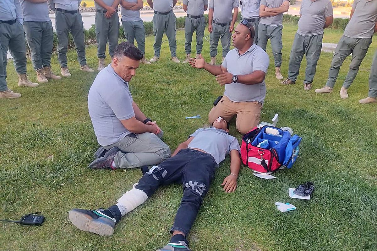 التدريب والاستشارات